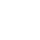 Spider Control
