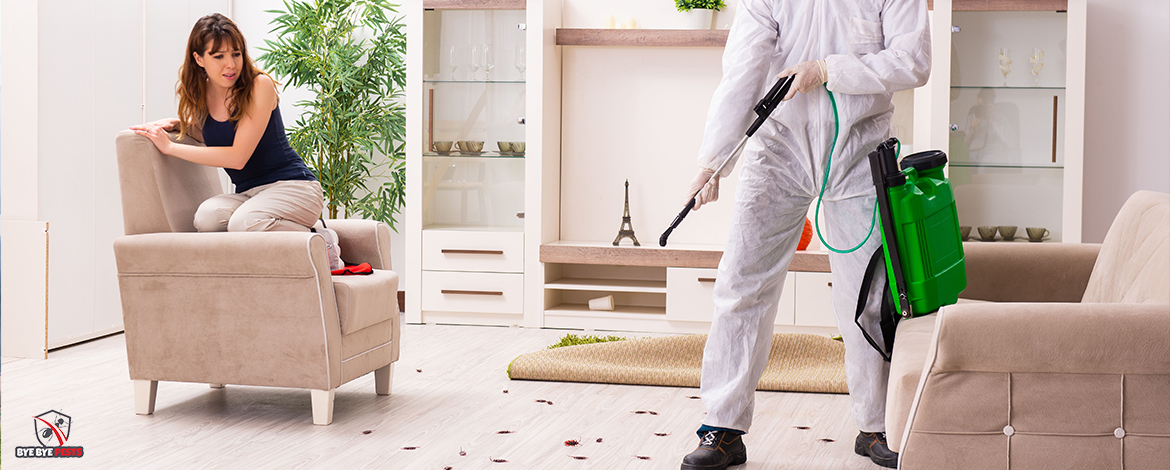 Pest Control in Brunswick