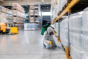 Commercial Pest Inspection