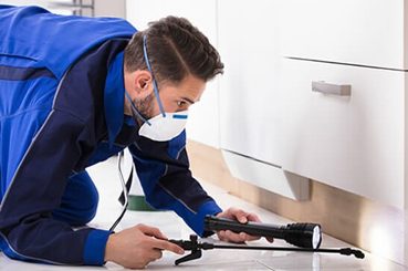 Regular Pest Inspection